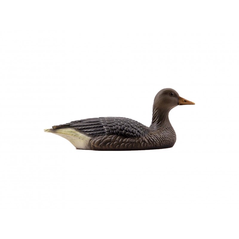 Wild Goose